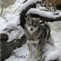 processed/9fe70d2c-6072-4679-928e-9f76a932822d/facility/d9958395-0fcb-4f0f-a70c-256508f7eaa5