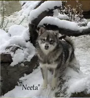 processed/9fe70d2c-6072-4679-928e-9f76a932822d/facility/d9958395-0fcb-4f0f-a70c-256508f7eaa5