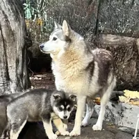 processed/9fe70d2c-6072-4679-928e-9f76a932822d/facility/df959b5c-e47f-4725-b70e-126bb3dd7e85