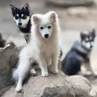 processed/9fe70d2c-6072-4679-928e-9f76a932822d/facility/e778114e-c2c3-4b50-98c0-85ac07e6d2e3