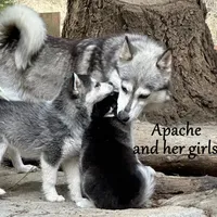 processed/9fe70d2c-6072-4679-928e-9f76a932822d/facility/fb6c12c0-c124-45e8-ae22-e332b57b540b