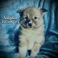 processed/9fe70d2c-6072-4679-928e-9f76a932822d/listing/1c12c1af-5b26-4c70-84ba-e753829f7c45/053fc1a3-45dc-4e65-bbc6-d99b7350a44c