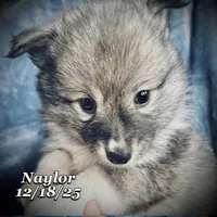 processed/9fe70d2c-6072-4679-928e-9f76a932822d/listing/1c12c1af-5b26-4c70-84ba-e753829f7c45/16530b7f-5028-43b8-bc7a-3b0c654057b1