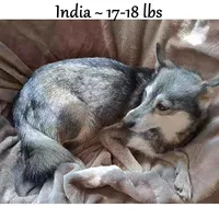 processed/9fe70d2c-6072-4679-928e-9f76a932822d/listing/1c12c1af-5b26-4c70-84ba-e753829f7c45/2e6e5fc2-6118-47b2-9626-93fd2b763939