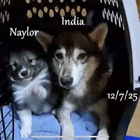 processed/9fe70d2c-6072-4679-928e-9f76a932822d/listing/1c12c1af-5b26-4c70-84ba-e753829f7c45/35076578-773b-4de7-b0b4-bc302e34938b