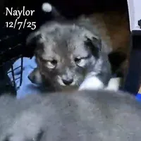 processed/9fe70d2c-6072-4679-928e-9f76a932822d/listing/1c12c1af-5b26-4c70-84ba-e753829f7c45/6d8271ef-6990-4dfe-a99c-1e3ab9297971