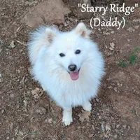 processed/9fe70d2c-6072-4679-928e-9f76a932822d/listing/1c12c1af-5b26-4c70-84ba-e753829f7c45/bb2ef63c-33cd-4395-9acf-1c085eb5fb77