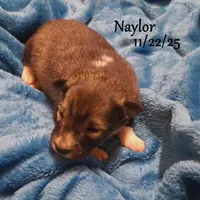 processed/9fe70d2c-6072-4679-928e-9f76a932822d/listing/1c12c1af-5b26-4c70-84ba-e753829f7c45/cbe4656a-57b4-40c3-be04-01569277c55a