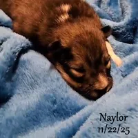 processed/9fe70d2c-6072-4679-928e-9f76a932822d/listing/1c12c1af-5b26-4c70-84ba-e753829f7c45/ed49b7e0-8b72-47ab-b829-84c5f408acd6