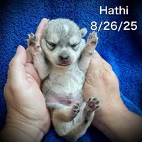 processed/9fe70d2c-6072-4679-928e-9f76a932822d/listing/1e1f987a-eafa-4c94-8705-77c119389e77/122a060a-50a6-4786-aa63-40af376b0ca7