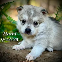 processed/9fe70d2c-6072-4679-928e-9f76a932822d/listing/1e1f987a-eafa-4c94-8705-77c119389e77/66d8a6ac-4491-488b-99c3-10c74f955959