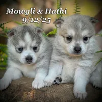 processed/9fe70d2c-6072-4679-928e-9f76a932822d/listing/1e1f987a-eafa-4c94-8705-77c119389e77/afe2607e-4c4e-4567-9051-fdc79608f98e