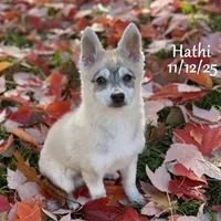 processed/9fe70d2c-6072-4679-928e-9f76a932822d/listing/1e1f987a-eafa-4c94-8705-77c119389e77/dd13b583-6c8c-4877-bee6-165a55186cda