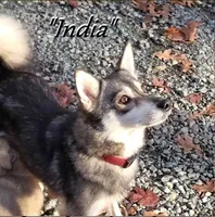 processed/9fe70d2c-6072-4679-928e-9f76a932822d/listing/46a94846-3730-4227-8dcd-a74fb4096d13/2688d82c-4d9f-40d3-ada5-7256e5cf0ef9