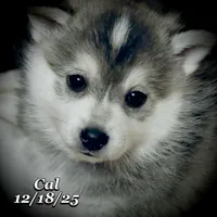 processed/9fe70d2c-6072-4679-928e-9f76a932822d/listing/46a94846-3730-4227-8dcd-a74fb4096d13/428ec606-9291-4874-8875-30ca295f7f5f