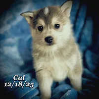 processed/9fe70d2c-6072-4679-928e-9f76a932822d/listing/46a94846-3730-4227-8dcd-a74fb4096d13/b9bff002-e749-4239-99e1-8a7ad590d2ae