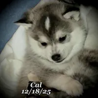 processed/9fe70d2c-6072-4679-928e-9f76a932822d/listing/46a94846-3730-4227-8dcd-a74fb4096d13/c0e57694-f8f6-4f3c-a145-83bc489b10dc