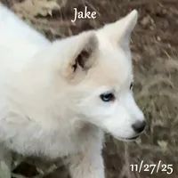 processed/9fe70d2c-6072-4679-928e-9f76a932822d/listing/e5687a67-3f6e-402c-a120-2a50790f8590/351274d8-4ced-4d7d-aad8-a3a2c94bc8d4