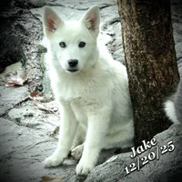 processed/9fe70d2c-6072-4679-928e-9f76a932822d/listing/e5687a67-3f6e-402c-a120-2a50790f8590/38d4f52b-6790-424e-b2e8-8184923f2ced