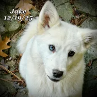 processed/9fe70d2c-6072-4679-928e-9f76a932822d/listing/e5687a67-3f6e-402c-a120-2a50790f8590/64fe617e-053e-4532-871c-4169627604d6