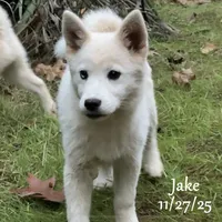 processed/9fe70d2c-6072-4679-928e-9f76a932822d/listing/e5687a67-3f6e-402c-a120-2a50790f8590/868de6f0-5af5-4fb5-b373-9695aeae8cb2