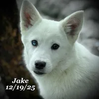 processed/9fe70d2c-6072-4679-928e-9f76a932822d/listing/e5687a67-3f6e-402c-a120-2a50790f8590/aab440f1-a877-45b8-9e2b-4677120bff48