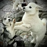 processed/9fe70d2c-6072-4679-928e-9f76a932822d/listing/e5687a67-3f6e-402c-a120-2a50790f8590/dd5114e5-f1f3-4029-801e-6308d4e61d41