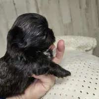 processed/9fe8a8a2-943b-4754-b2f6-063f5f15b08b/listing/cac9aaa0-fc33-4732-87d3-8de31605026d/89b7974f-fd5a-4c67-ae7d-8434d129c706