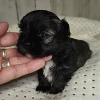 processed/9fe8a8a2-943b-4754-b2f6-063f5f15b08b/listing/cac9aaa0-fc33-4732-87d3-8de31605026d/ad2c7f96-7598-4653-9c32-d3cbf8c430ae