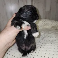 processed/9fe8a8a2-943b-4754-b2f6-063f5f15b08b/listing/cac9aaa0-fc33-4732-87d3-8de31605026d/cce2d09a-0d7d-4f49-906b-1f7fc3a407fa