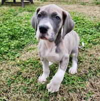 processed/9fe8a8a2-943b-4754-b2f6-063f5f15b08b/listing/d8ca22e7-2d63-4e53-82d6-1f9d2e70e4b5/59da24d2-a3dd-4312-a821-a47d8b0f5f59