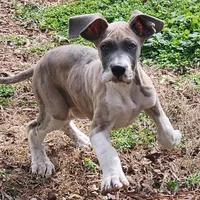 processed/9fe8a8a2-943b-4754-b2f6-063f5f15b08b/listing/d8ca22e7-2d63-4e53-82d6-1f9d2e70e4b5/8a28f2ee-e7ac-4fb3-b855-66f6e9825389