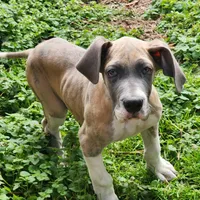 processed/9fe8a8a2-943b-4754-b2f6-063f5f15b08b/listing/d8ca22e7-2d63-4e53-82d6-1f9d2e70e4b5/8be1e9c0-7719-405b-919c-49227fa9eb67