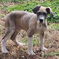 processed/9fe8a8a2-943b-4754-b2f6-063f5f15b08b/listing/d8ca22e7-2d63-4e53-82d6-1f9d2e70e4b5/d6697c29-fdb4-43b6-b1bc-53294a39c1b6