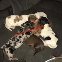 processed/9fec2067-ef82-477d-97ea-530127849496/facility/1dff64b6-1431-4da4-a032-cd0c42e2942e