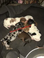 processed/9fec2067-ef82-477d-97ea-530127849496/facility/1dff64b6-1431-4da4-a032-cd0c42e2942e