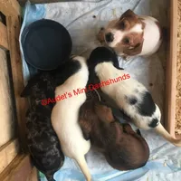 processed/9fec2067-ef82-477d-97ea-530127849496/facility/67256955-8d70-4b74-89f4-7cc9c2198ea7