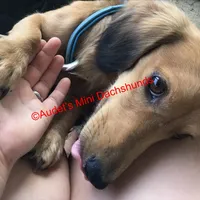 processed/9fec2067-ef82-477d-97ea-530127849496/facility/67be1d8f-2ea9-458b-8007-4fc4ba622c99