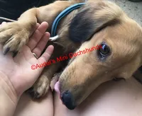 processed/9fec2067-ef82-477d-97ea-530127849496/facility/67be1d8f-2ea9-458b-8007-4fc4ba622c99