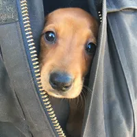 processed/9fec2067-ef82-477d-97ea-530127849496/facility/c2931be7-fb48-47a0-894a-bb15bc592a05