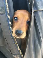 processed/9fec2067-ef82-477d-97ea-530127849496/facility/c2931be7-fb48-47a0-894a-bb15bc592a05