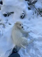 processed/9fec2067-ef82-477d-97ea-530127849496/listing/41a443cd-eedd-4b78-b7d0-6df4f96772c1/3dc0c25a-4370-4856-abd1-fe2fd82d7a5e