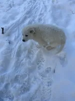 processed/9fec2067-ef82-477d-97ea-530127849496/listing/41a443cd-eedd-4b78-b7d0-6df4f96772c1/a5a5ed02-4411-4930-ab0a-cb7705021978