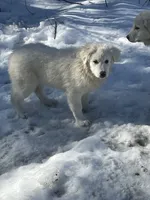 processed/9fec2067-ef82-477d-97ea-530127849496/listing/41a443cd-eedd-4b78-b7d0-6df4f96772c1/c6f9c5cf-c615-432d-b614-69daea2aa6b8