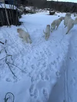 processed/9fec2067-ef82-477d-97ea-530127849496/listing/750f099d-83eb-4776-8958-625cdb19c304/81719ed2-62f2-4440-a09b-affa06b835a9