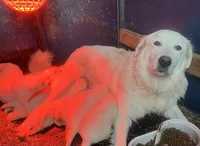 processed/9fec2067-ef82-477d-97ea-530127849496/listing/750f099d-83eb-4776-8958-625cdb19c304/a2d5b869-bedf-4048-90f5-51ec6fc8e763