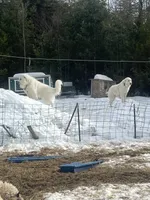 processed/9fec2067-ef82-477d-97ea-530127849496/listing/9b49f8a3-1b28-4bba-ab85-4c21f360bb7f/43b4ff9d-b790-4605-8463-bb4d8ec203ae