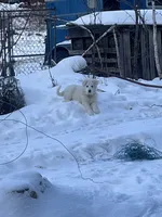 processed/9fec2067-ef82-477d-97ea-530127849496/listing/9d90c37f-5e36-4ee0-a42c-12e0580b0342/87bd080f-3605-42ff-b053-03c77c0ca1e1