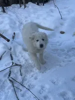 processed/9fec2067-ef82-477d-97ea-530127849496/listing/b25cd8df-a62a-4118-b3f7-74447c85c6e5/7bf17a84-3ec4-4869-abaf-bd0d83eacc0b