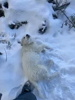 processed/9fec2067-ef82-477d-97ea-530127849496/listing/b25cd8df-a62a-4118-b3f7-74447c85c6e5/fdfa7da7-4569-46ac-a6c8-f87d27498915